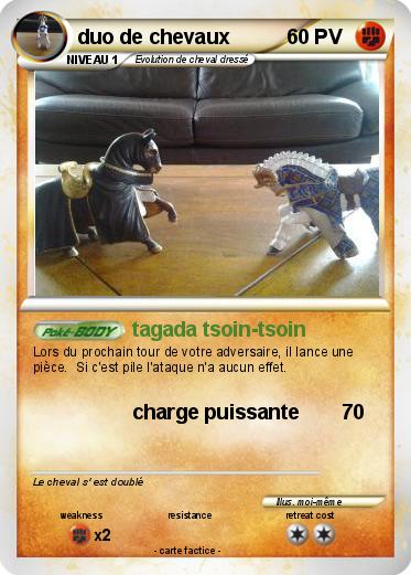 Pokemon duo de chevaux