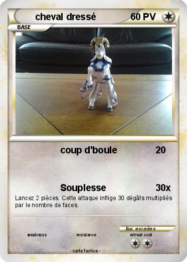 Pokemon cheval dressé
