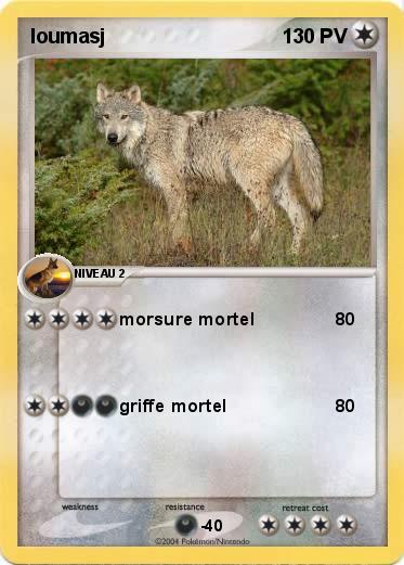 Pokemon loumasj