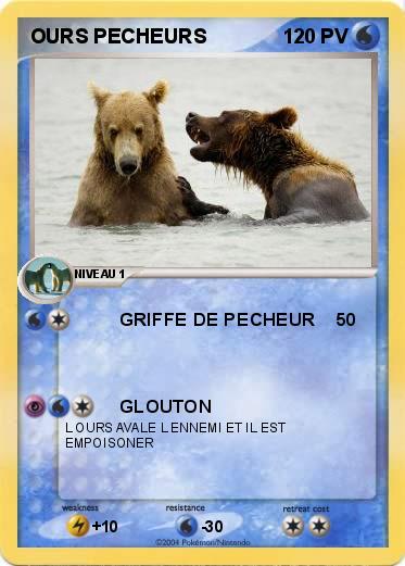 Pokemon OURS PECHEURS