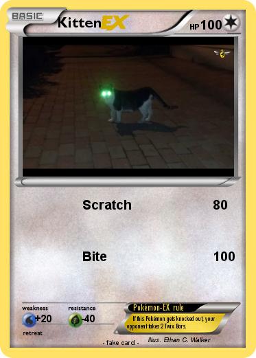 Pokemon Kitten