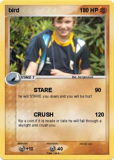 Pokemon bird