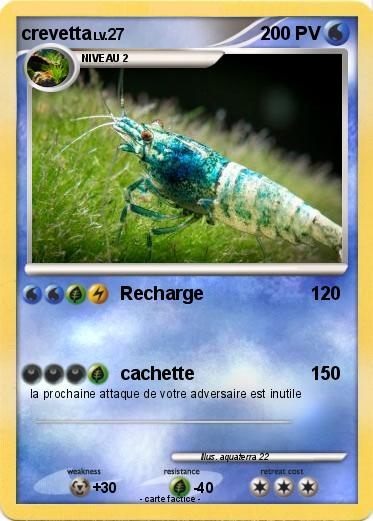 Pokemon crevetta