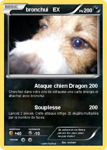 Pokemon bronchui   EX
