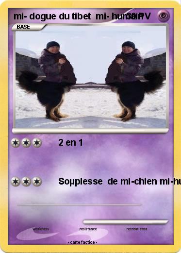Pokemon mi- dogue du tibet  mi- humain