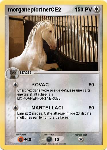 Pokemon morganepfortnerCE2