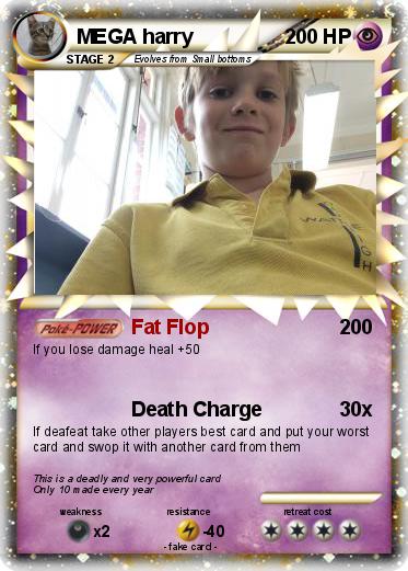 Pokemon MEGA harry