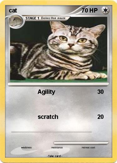 Pokemon cat