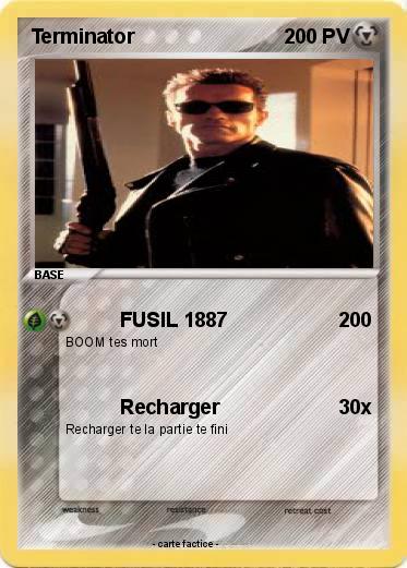 Pokemon Terminator