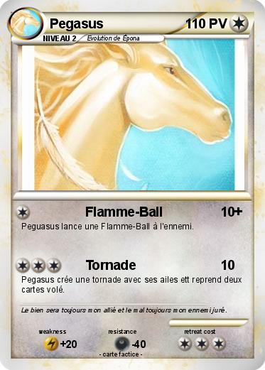 Pokemon Pegasus