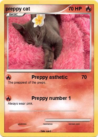Pokemon preppy cat