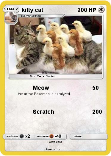 Pokemon kitty cat