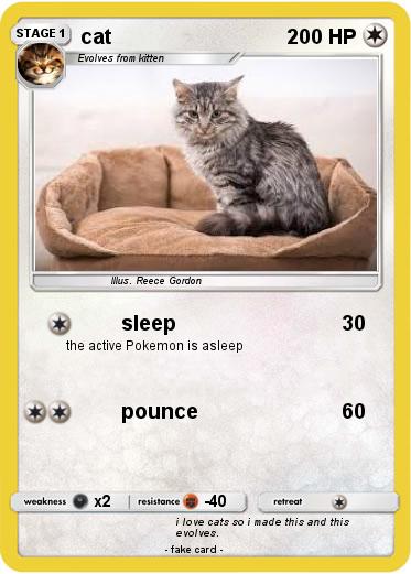 Pokemon cat
