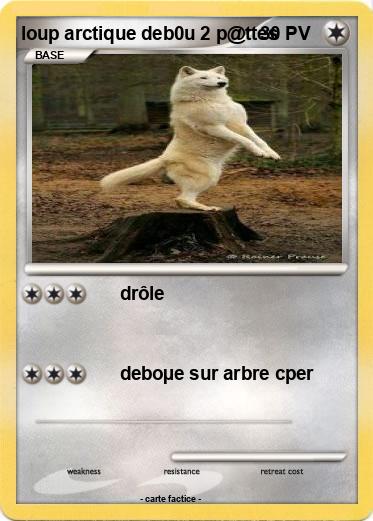 Pokemon loup arctique deb0u 2 p@ttes