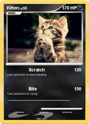 Pokemon Kitten