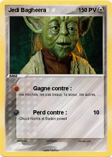 Pokemon Jedi Bagheera