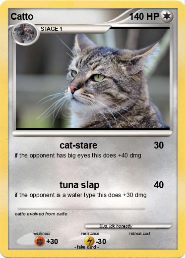 Pokemon Catto