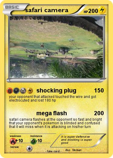 Pokemon safari camera
