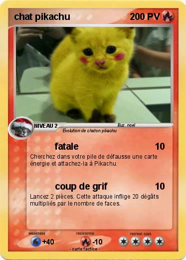 Pokemon chat pikachu