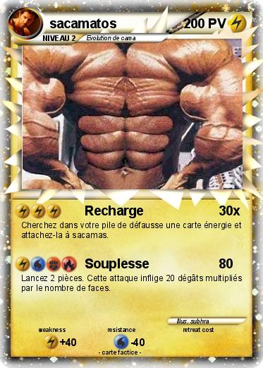 Pokemon sacamatos
