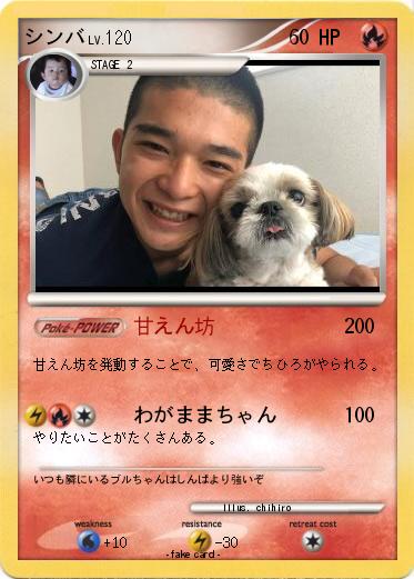 Pokemon シンバ