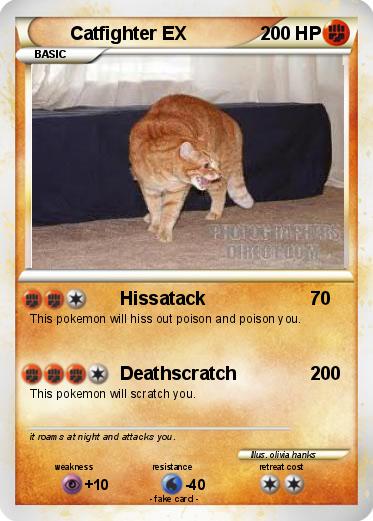 Pokemon Catfighter EX