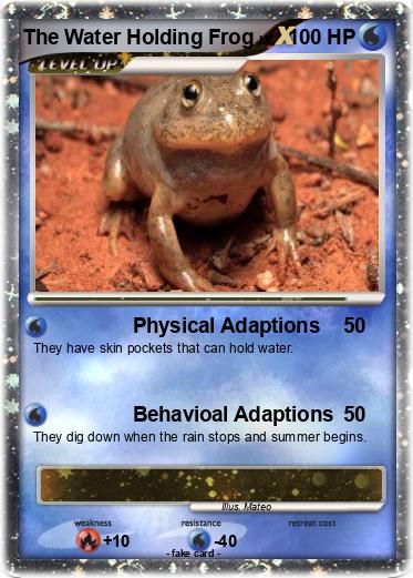 Pokemon The Water Holding Frog