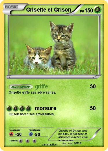Pokemon Grisette et Grison