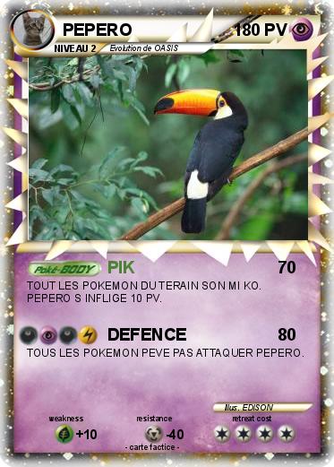 Pokemon PEPERO