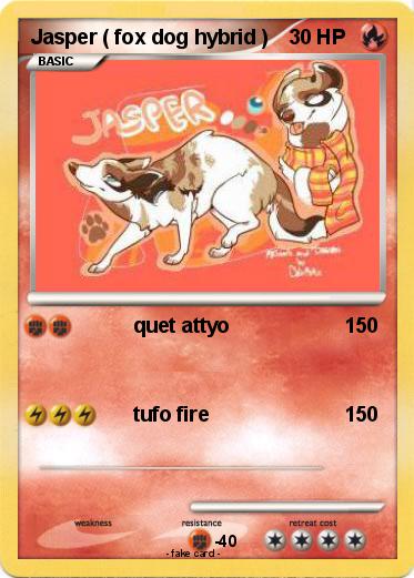 Pokemon Jasper ( fox dog hybrid )