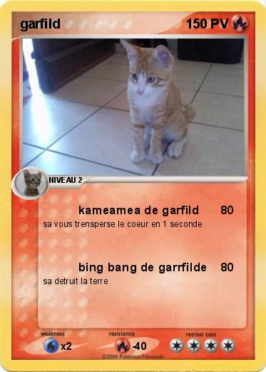Pokemon garfild