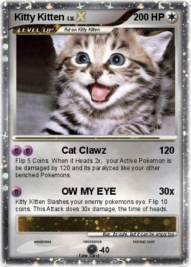 Pokemon Kitty Kitten