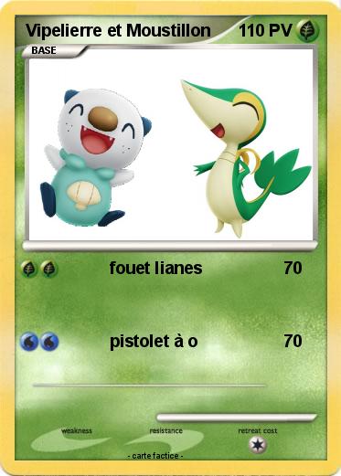 Pokemon Vipelierre et Moustillon
