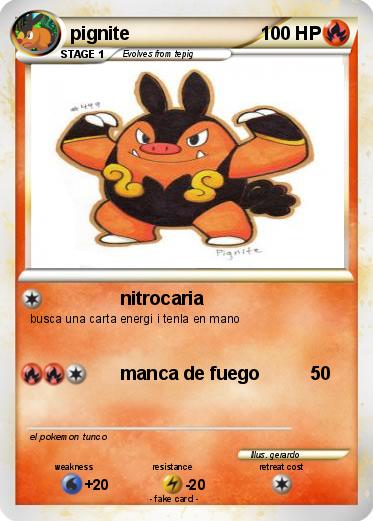 Pokemon pignite