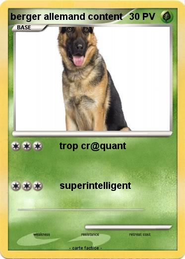 Pokemon berger allemand content