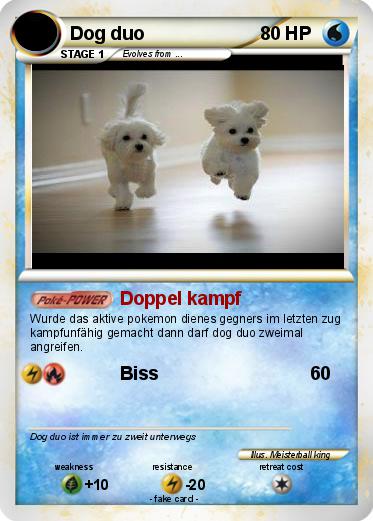 Pokemon Dog duo