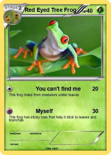 Pokemon Red Eyed Tree Frog