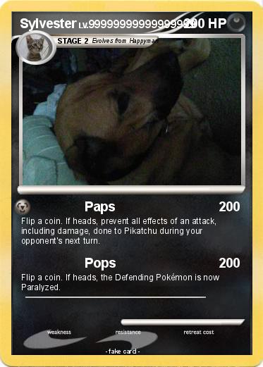 Pokemon Sylvester
