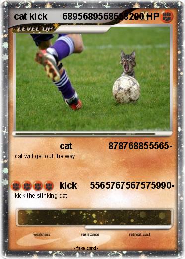 Pokemon cat kick      6895689568658