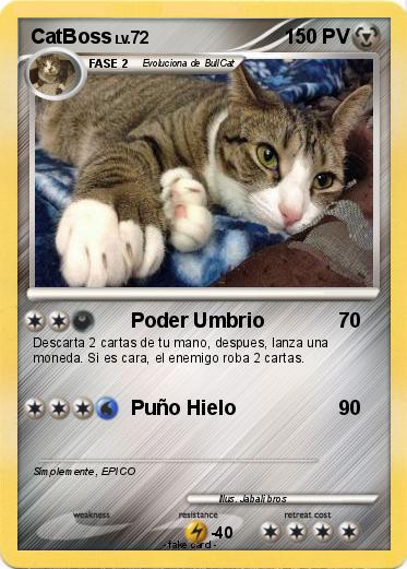 Pokemon CatBoss