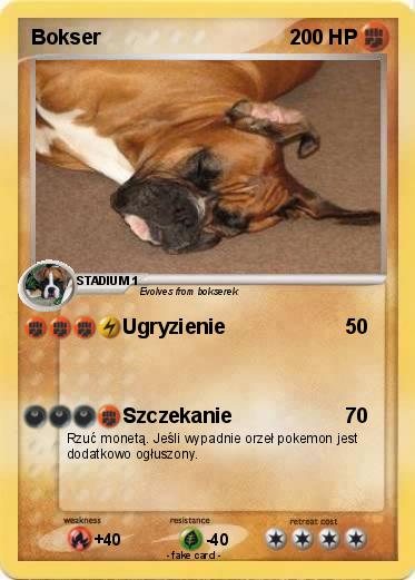 Pokemon Bokser
