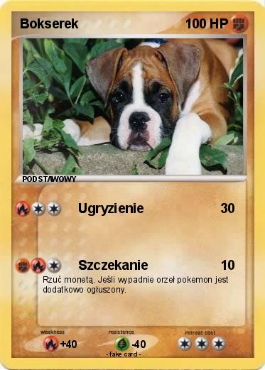Pokemon Bokserek