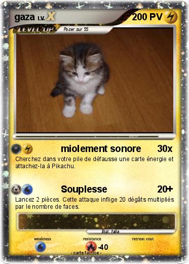 Pokemon gaza
