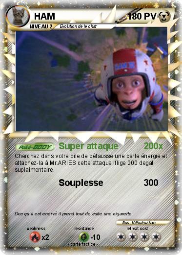 Pokemon HAM