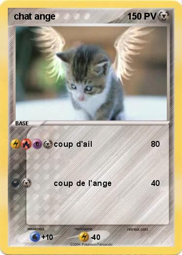 Pokemon chat ange