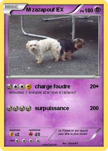 Pokemon M zazapouf EX