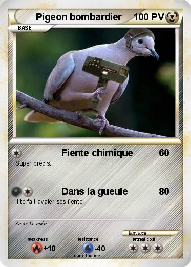 Pokemon Pigeon bombardier