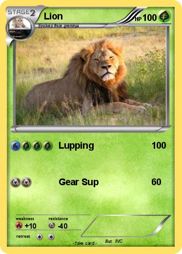 Pokemon Lion