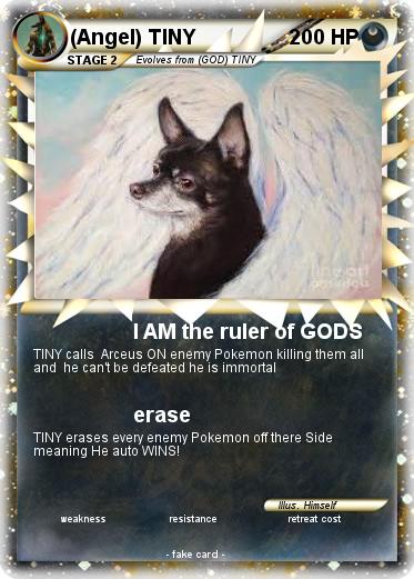 Pokemon (Angel) TINY