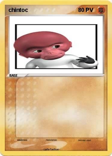 Pokemon chintoc